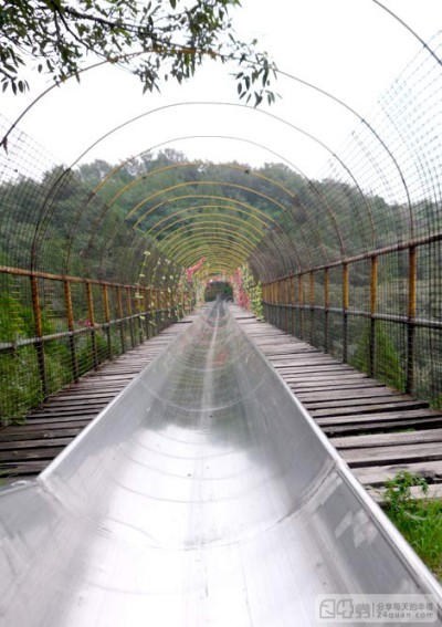 活塞NBA活塞队中文网(图1)