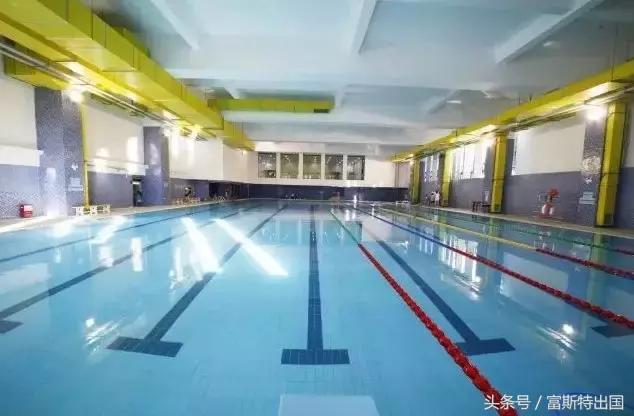 霍富许尔斯贝克和富斯特申请机动车把手组件专利重心位于传动轴上以优化运动耦合(图1)